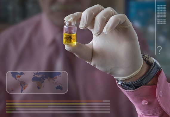 Consórcio ZIKAlliance se reúne para planejar próximos três anos