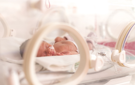 Doação de leite humano auxilia desenvolvimento de prematuros