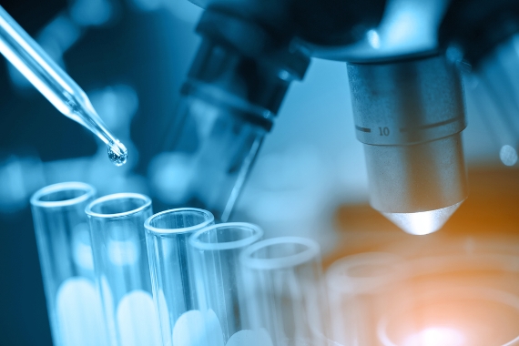 Estudo da Fiocruz indica que medicamento protege células de danos causados pelo vírus zika