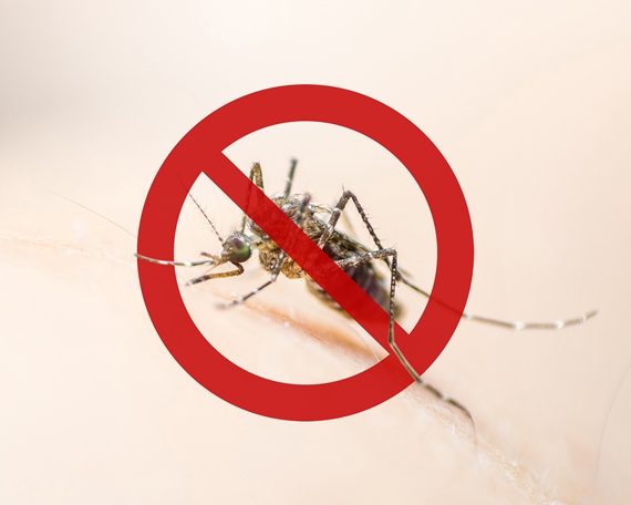 Toda sexta-feira será o dia de combate ao Aedes aegypti 