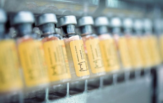 Febre amarela: 55 dos 65 municípios prioritários já têm disponibilizadas vacinas em quantidade suficiente para imunizar o público-alvo