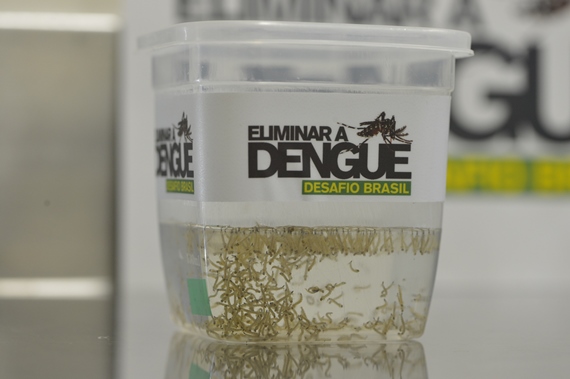 Projeto Eliminar a Dengue anuncia avanço em Niterói