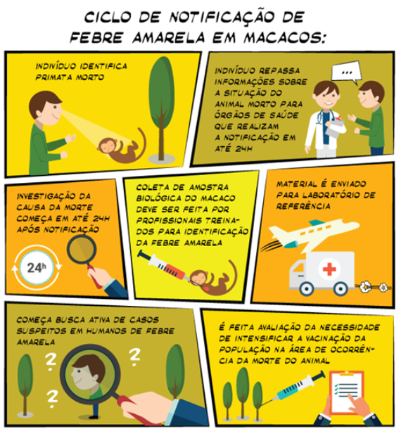 Macaco Prego Galego - infográfico (2011), Infografia produz…