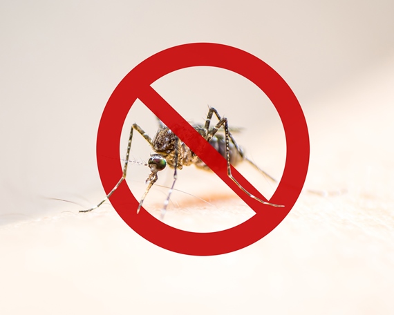País terá neste sábado Dia de Mobilização para combate ao Aedes aegypti