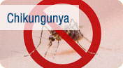 Chikungunya